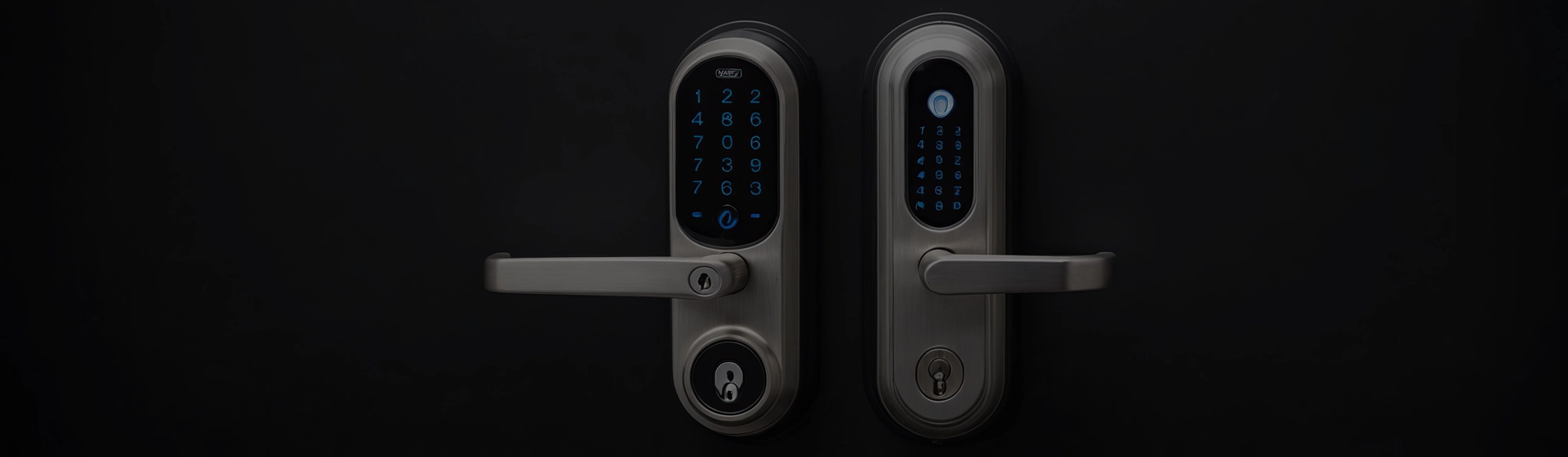 Door Interlocking System (DIS)