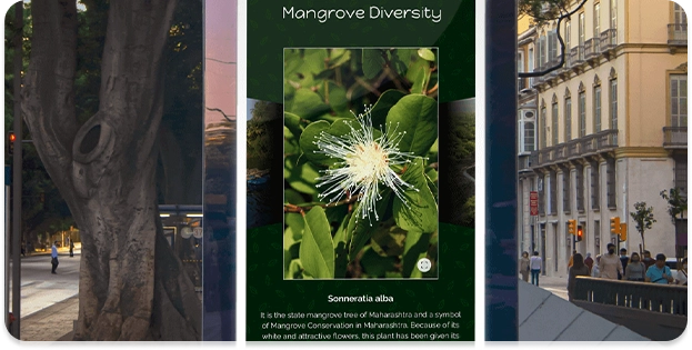 Mangrove Cell’s Digital Exhibitory